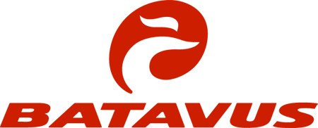 Batavus vector preview logo