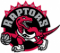 1996: The Toronto Raptors logo