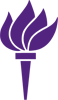 New York University (NYU) Thumb logo