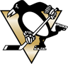 Rated 4.9 the Pittsburgh Penguins logo