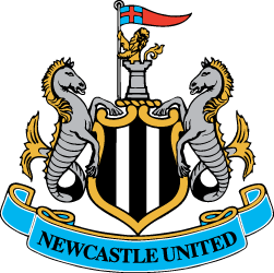 Newcastle United vector preview logo